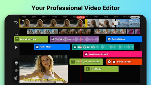 Professional video editor